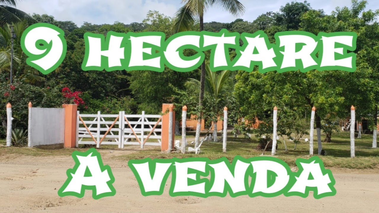 SÍTIO DE  9 HECTARES  750 MIL COM 8 NO CACAU PRODUZINDO 200 @  a 4 km da cidade #Ilhéus BA