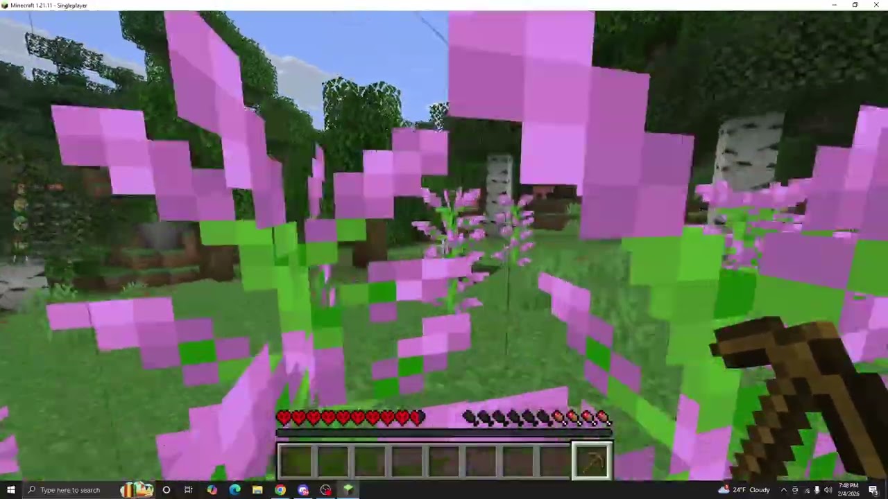day 1 of hardcore minecraft server