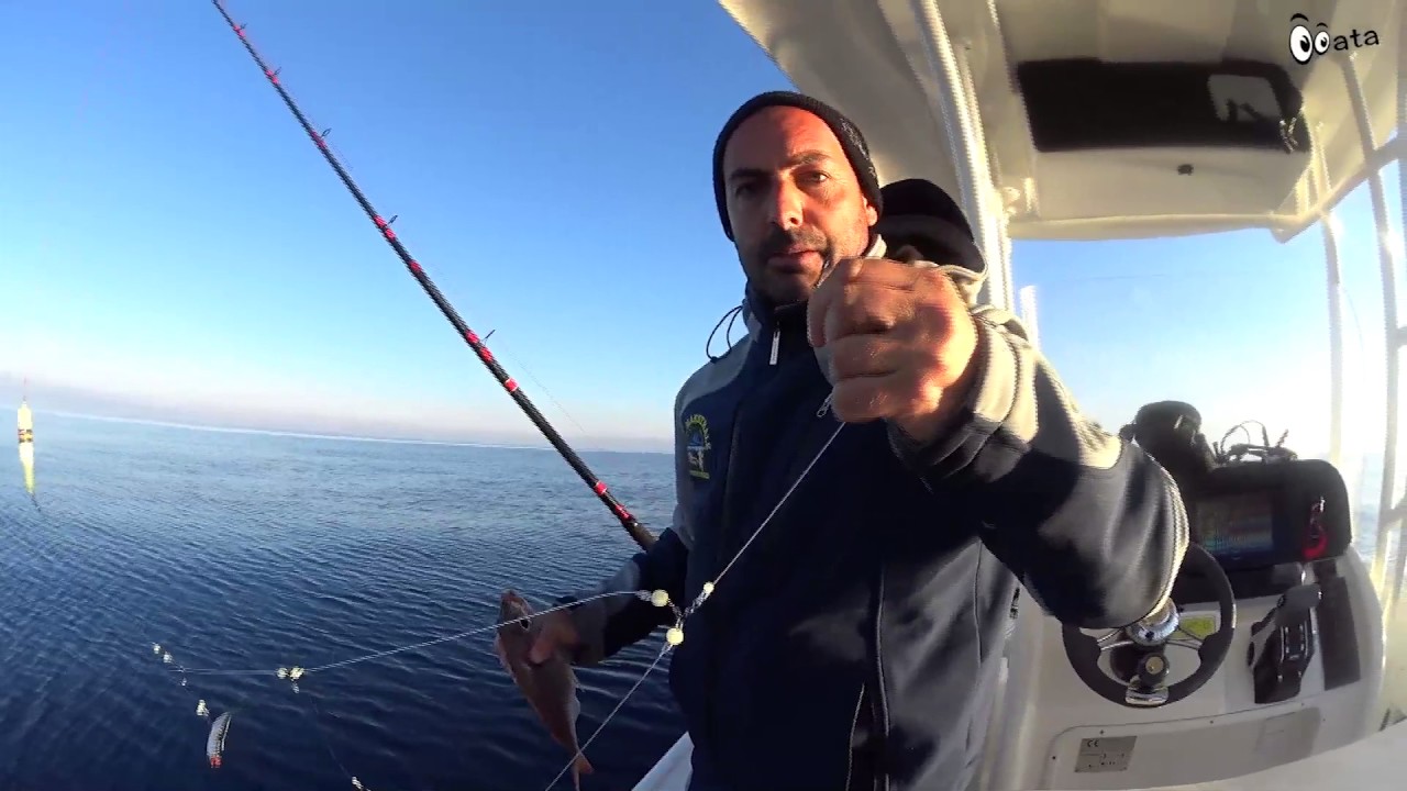 Bolentino Profondo in  Sardegna