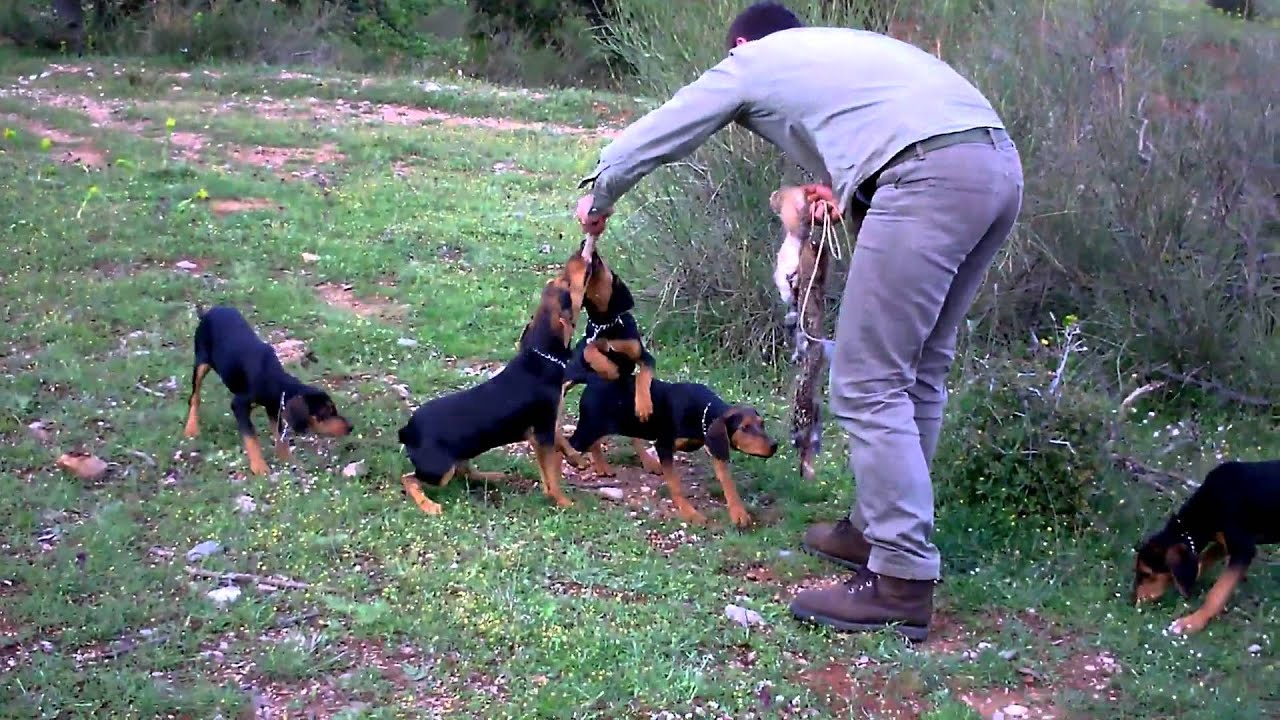 EΞ.ΛΑ.ΤΑΡ ( Εξολοθρευτές Λαγών Ταρσού) #28 (HD)