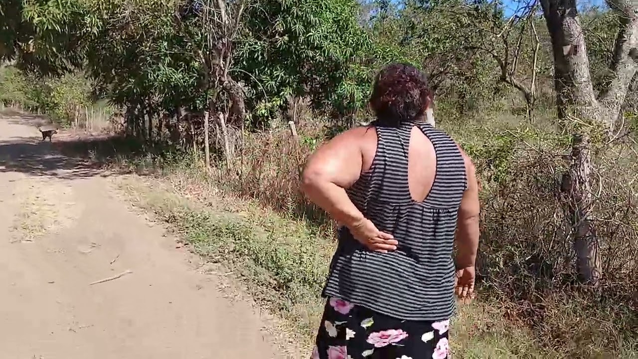 ESTAN DE VENTAS LAS VACAS DE MI MAMI 