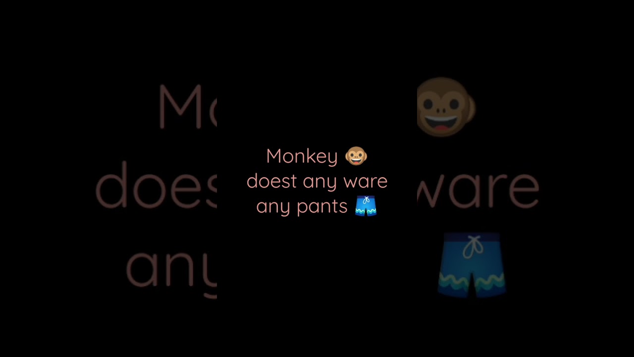 Me and my monkey 🐵 [Lyrics] song