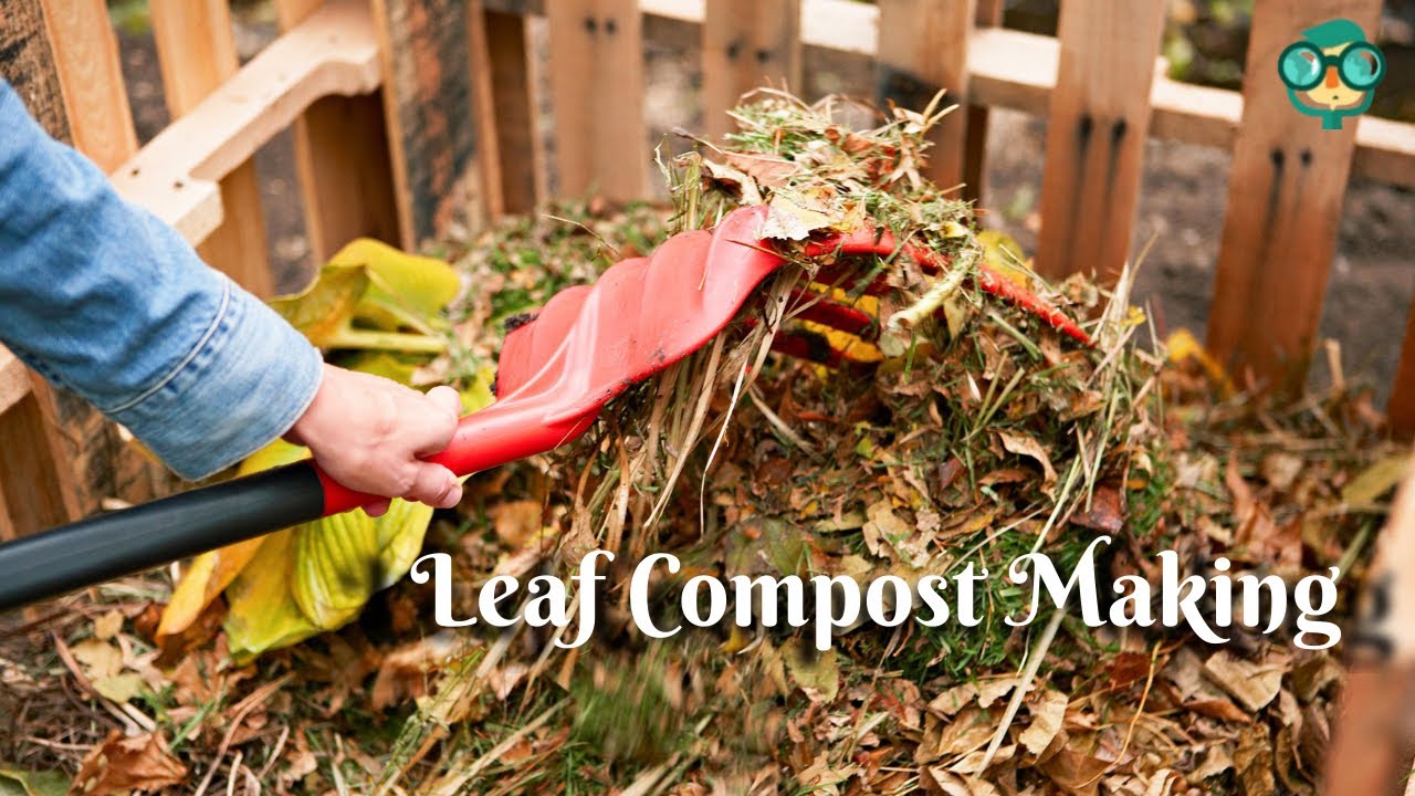 How to Make Leaf Compost Quickly? How to Compost Leaves Quickly? How to Compost Leaves Fast?