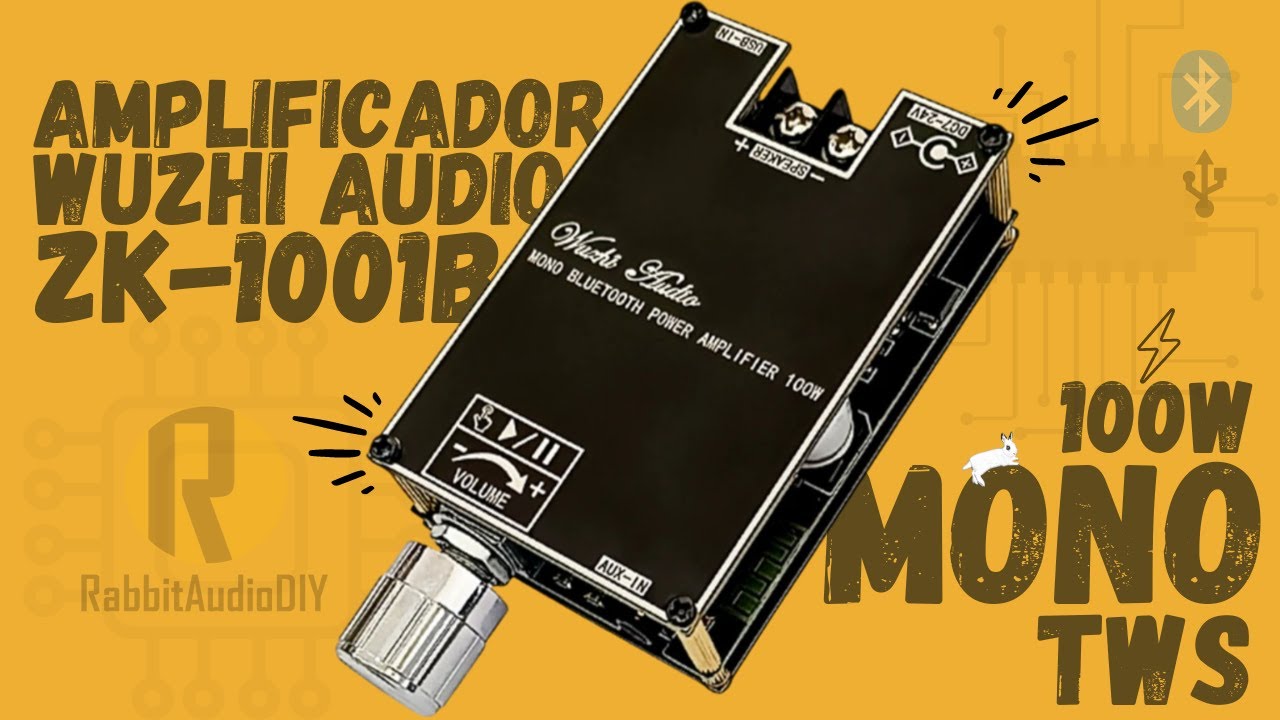 Amplificador MONO súper POTENTE TWS Wuzhi Audio ZK-1001B