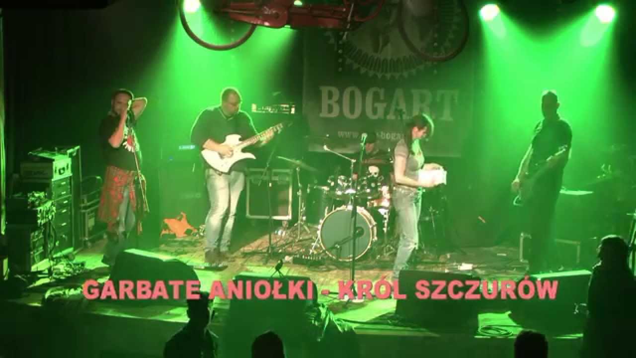 GARBATE ANIOŁKI -  KRÓL SZCZURÓW  -