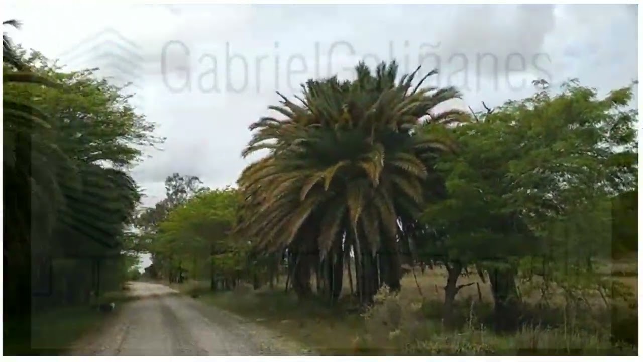 Lote Alvarez Jonte