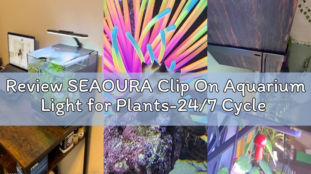Review SEAOURA Clip On Aquarium Light for Plants-24/7 Cycle Fish Tank Light with Timer, Full Spectru