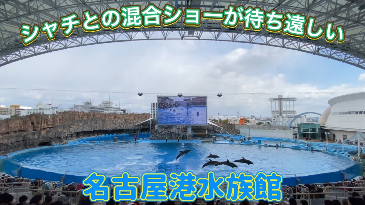 【4K】名古屋港水族館「イルカパフォーマンス」