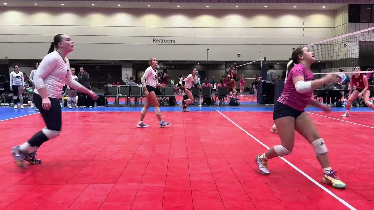 Sunshine Classic #27 setter in white 