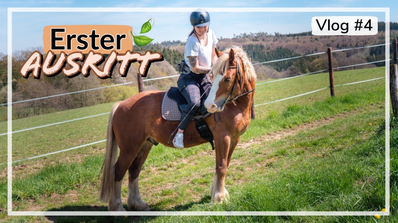 Erster Mini AUSRITT mit JUNGPFERD #VLOG 4 I ACIBALD