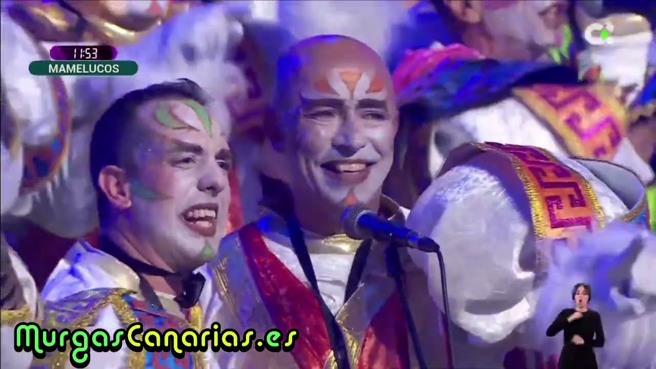 Murga Los Mamelucos 2024 | 2ª Fase de Murgas Adultas de Santa Cruz de Tenerife