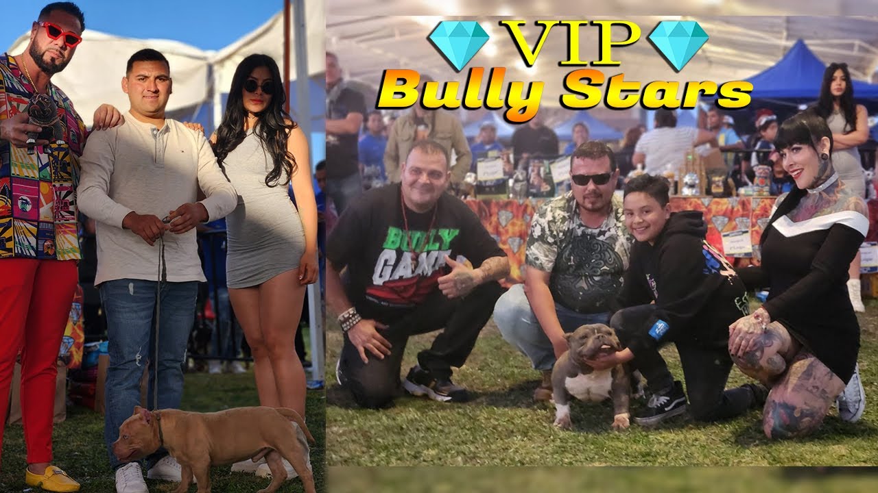 SUPER EVENTO DE BULLYS EN EL CORAZON DE MEXICO (VIP BULLY STARS GUANAJUATO 2023)