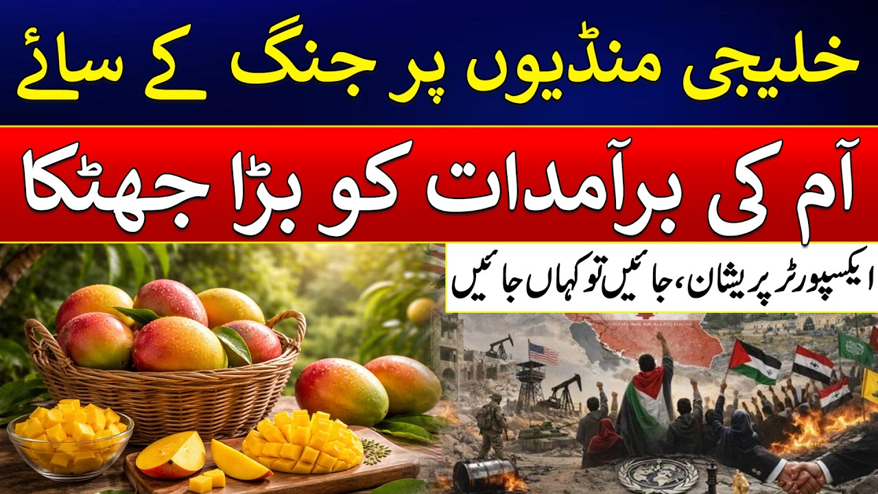 Gulf Markets Under Pressure as Conflict Fears Hit Mango Exports