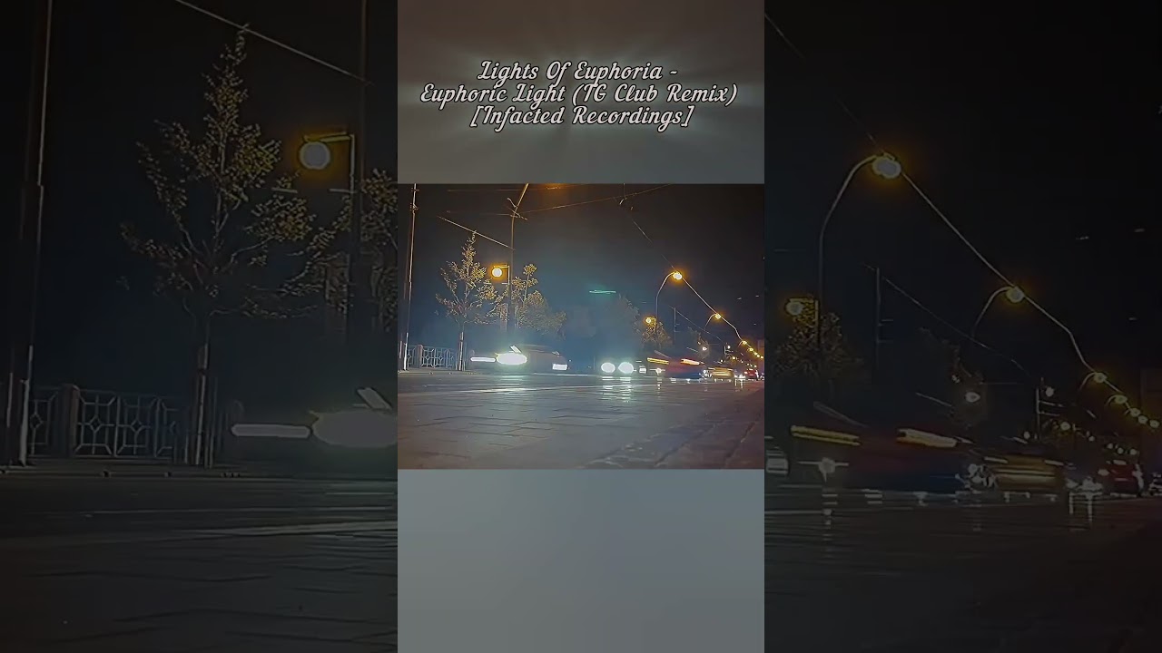 Lights Of Euphoria - Euphoric Light (TG Club Remix) [Infacted Recordings]#synthpop #futurepop