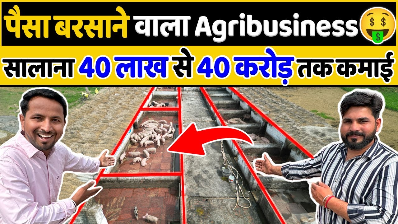 ये Pig Farming नहीं 🐷 ये Paisa Farming है 🤑 || Best Agribusiness Idea || Indian Farmer