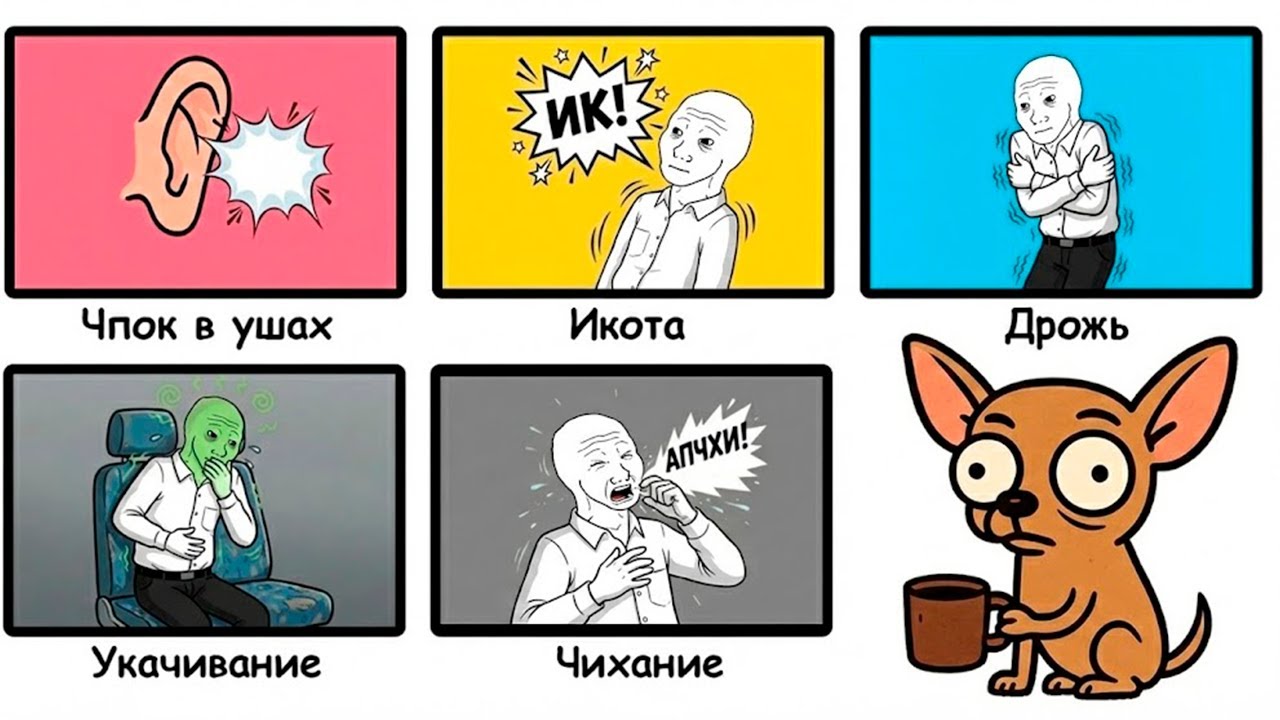 🐾 ВСЕ ГЛЮКИ нашего тела за 10 минут