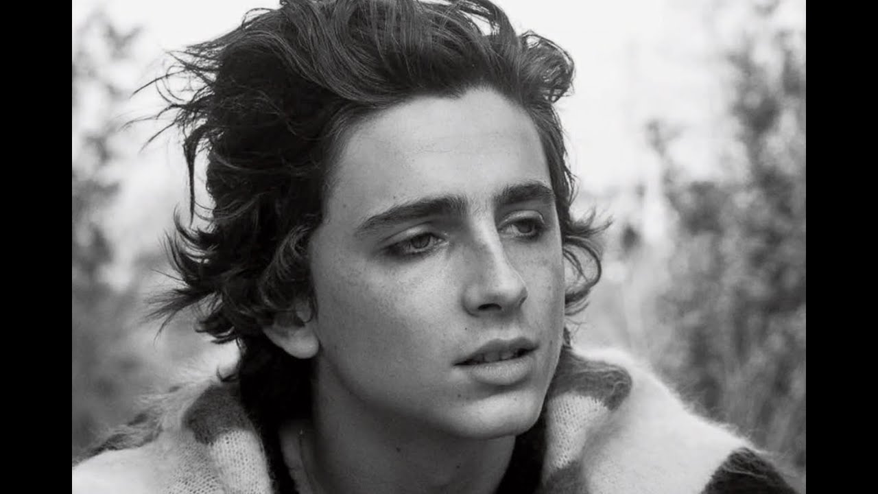 Timothée Chalamet Sexy Moments