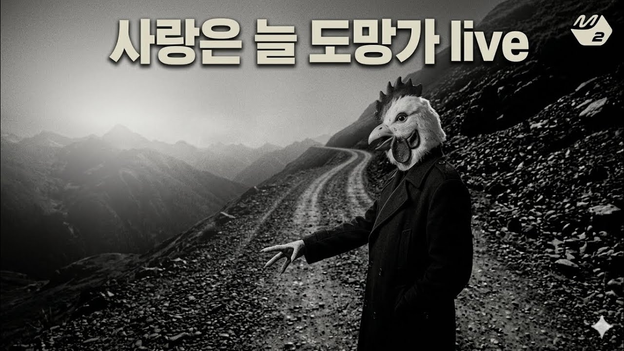 사랑은 늘 도망가 live