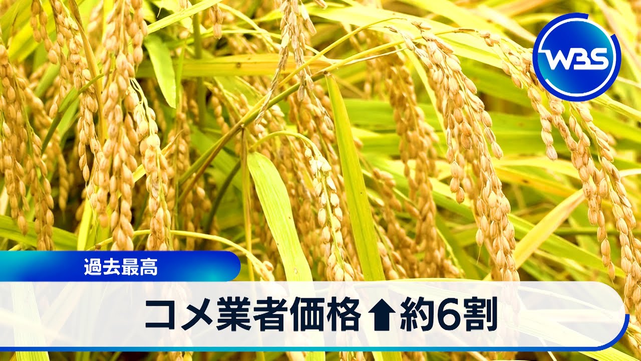 コメ業者価格&uarr;約6割　過去最高【WBS】