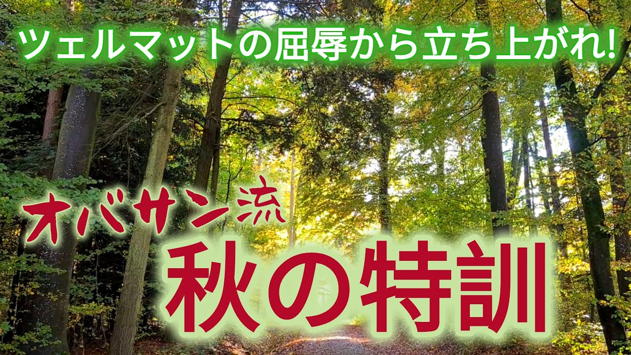 オバサンの秋散歩。Autumn walking.