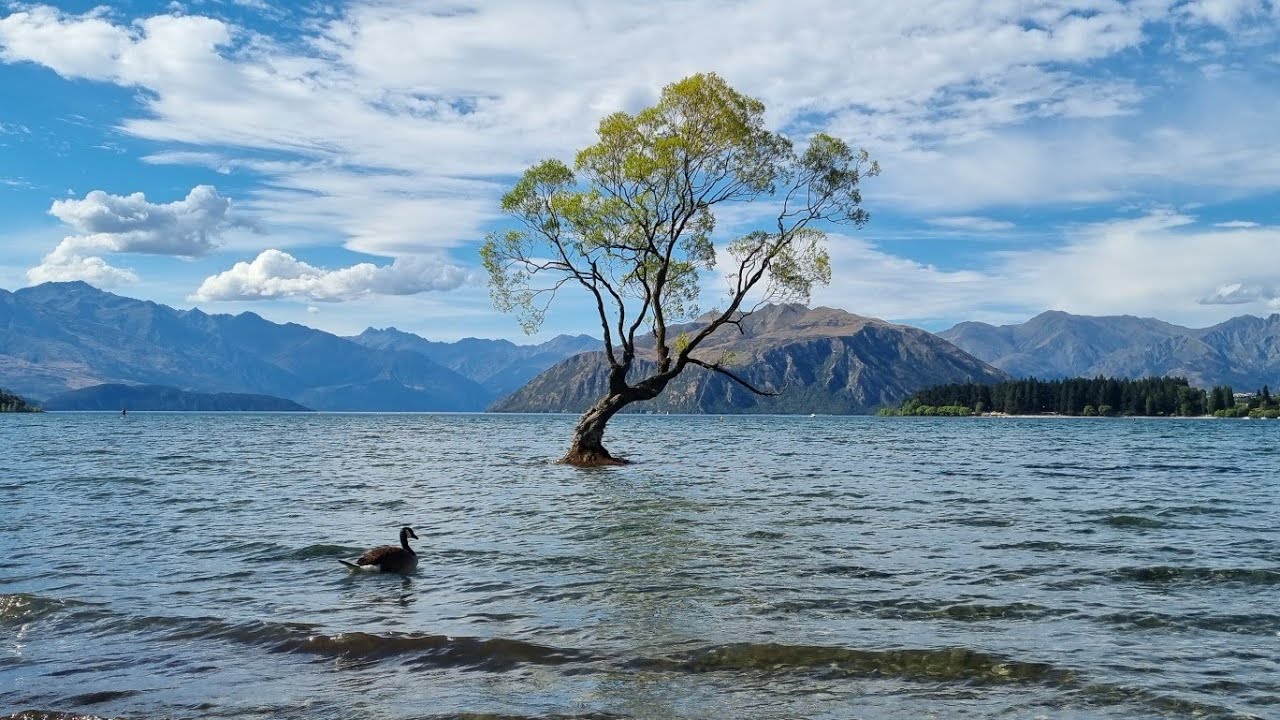 Exploring Queenstown and Wanaka | New Zealand Vlog E05