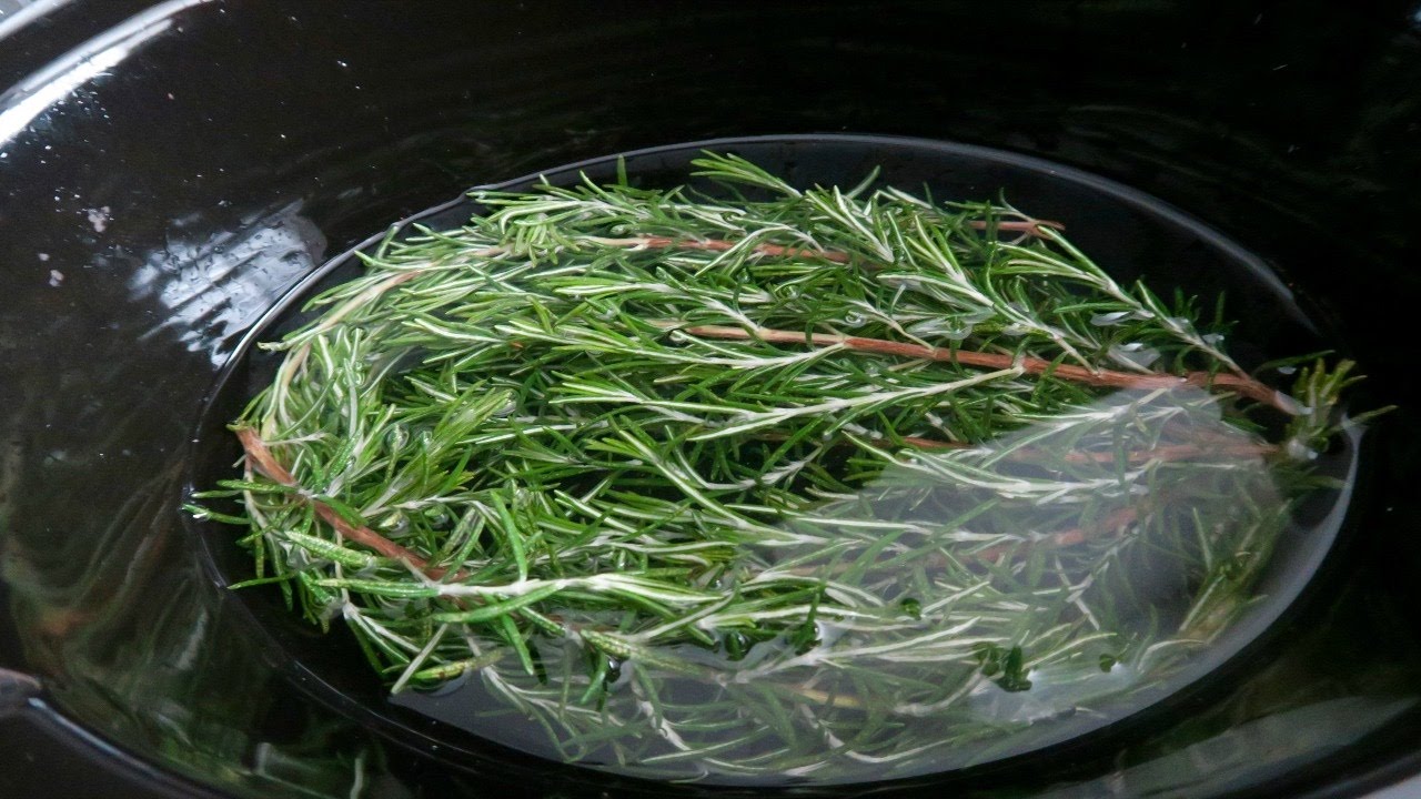 Rosemary Water for Healthy Hair | Best way to make rosemary water