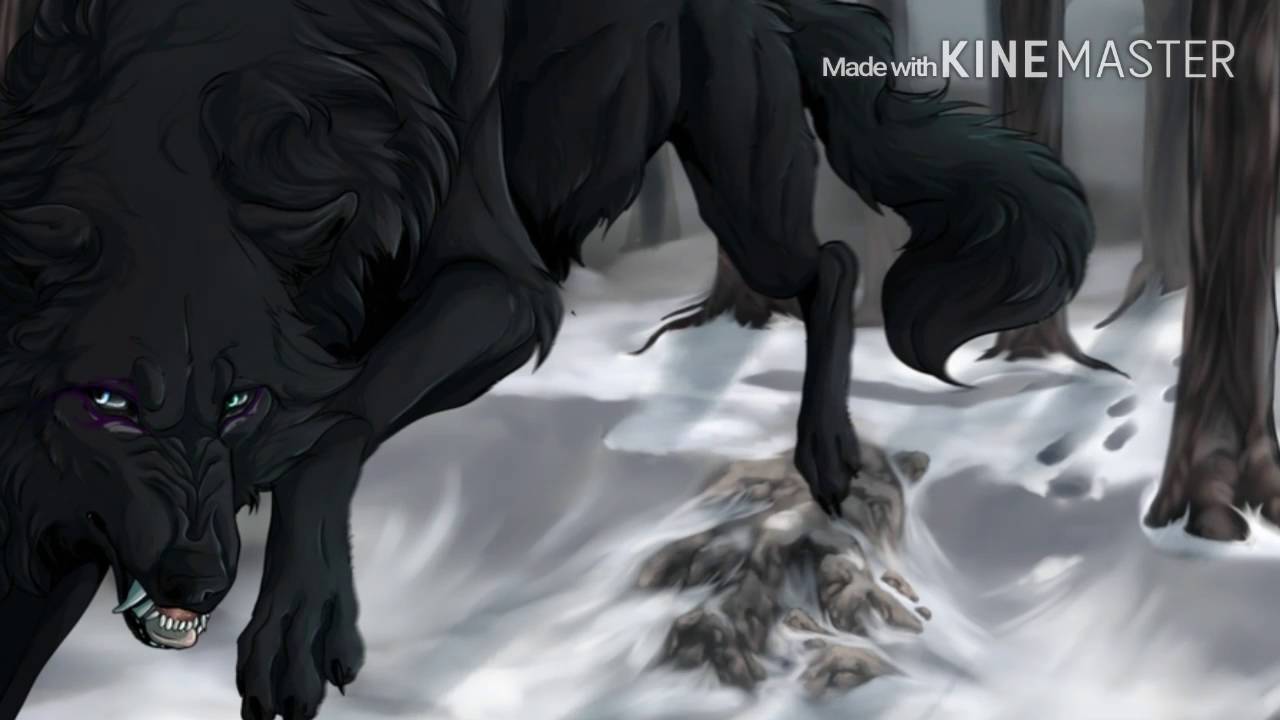 Anime Wolves~ How you Remind Me