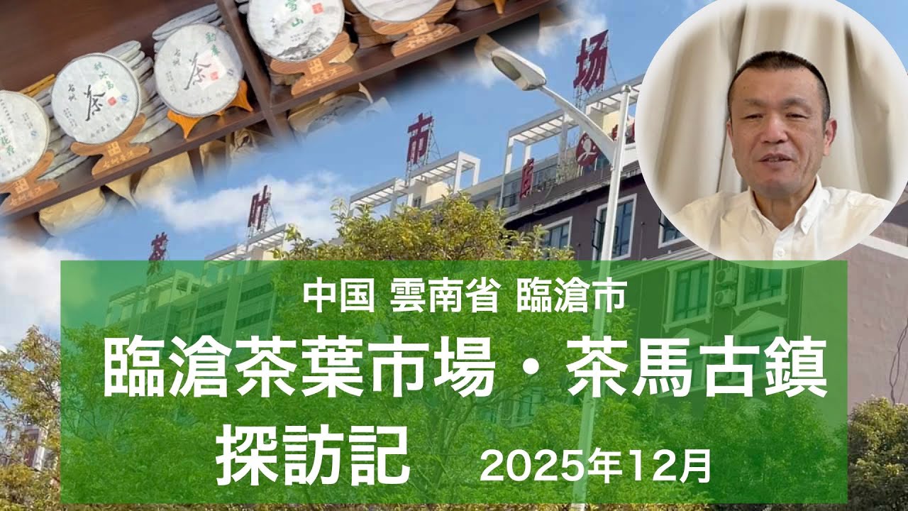 中国雲南省臨滄市 茶葉市場・茶馬古鎮 探訪記 2025年12月