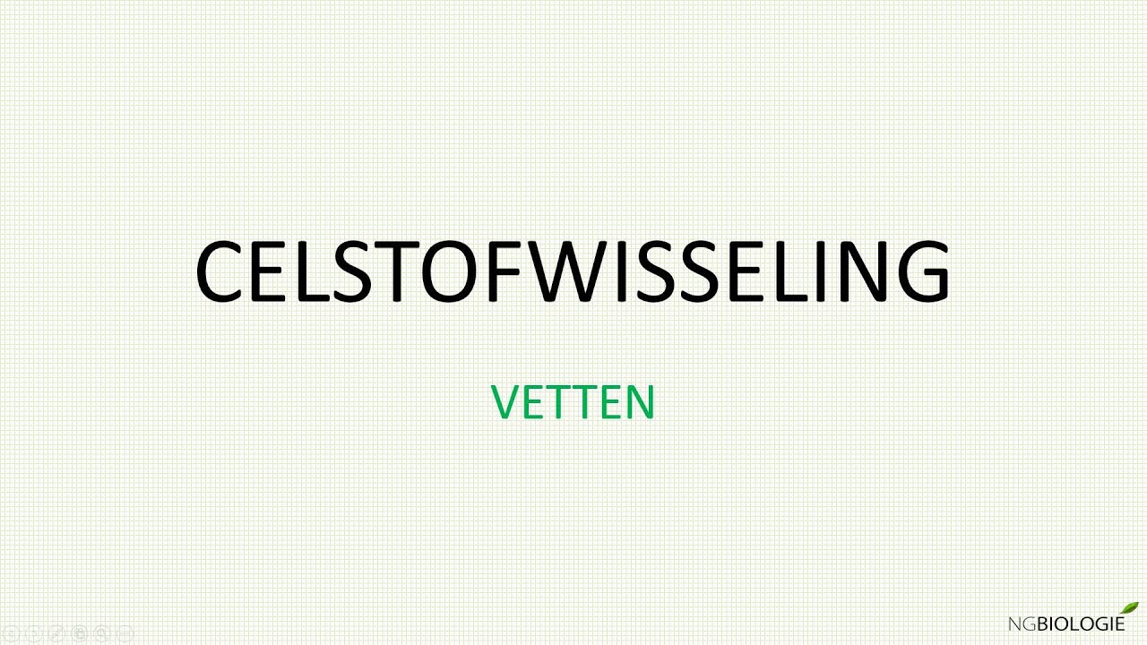 Vetten