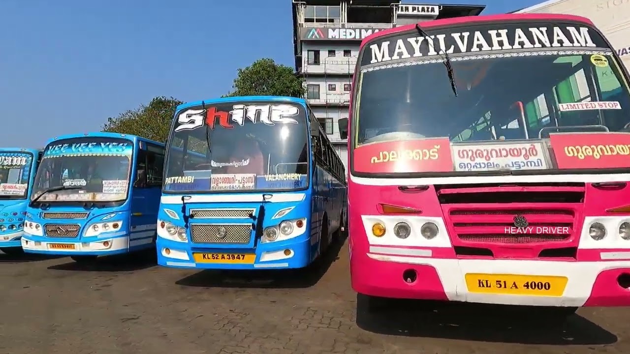 പാലക്കാട് പട്ടാമ്പി ബസ് സ്റ്റാൻഡ് | pattambi bus stand full video