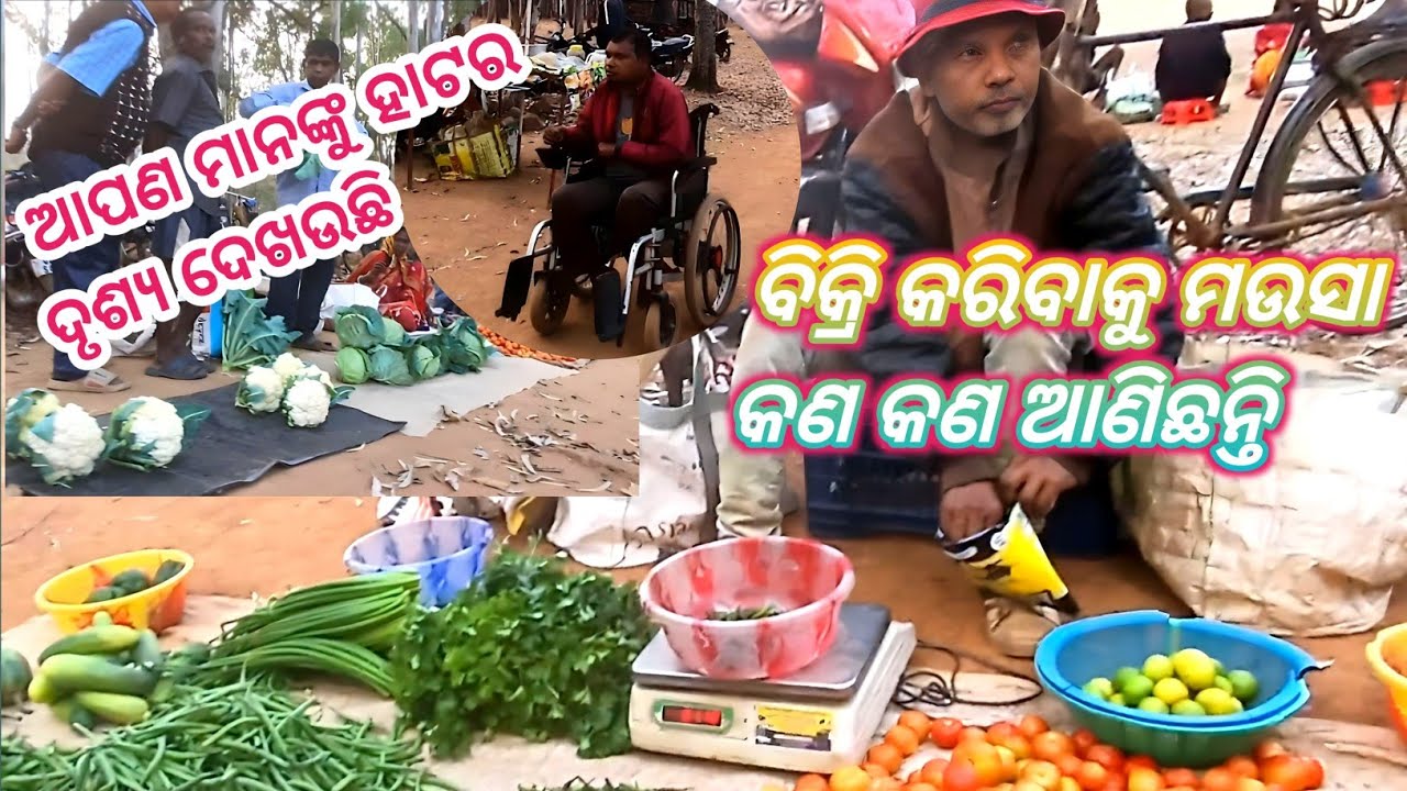 ଆପଣ ମାନଙ୍କୁ ହାଟର ଦୃଶ୍ଯ ଦେଖଉଛି//ବିକ୍ରି କରିବାକୁ ମଉସା କଣ କଣ ଆଣିଛନ୍ତି // new odia blog video#CDAILYLIFES