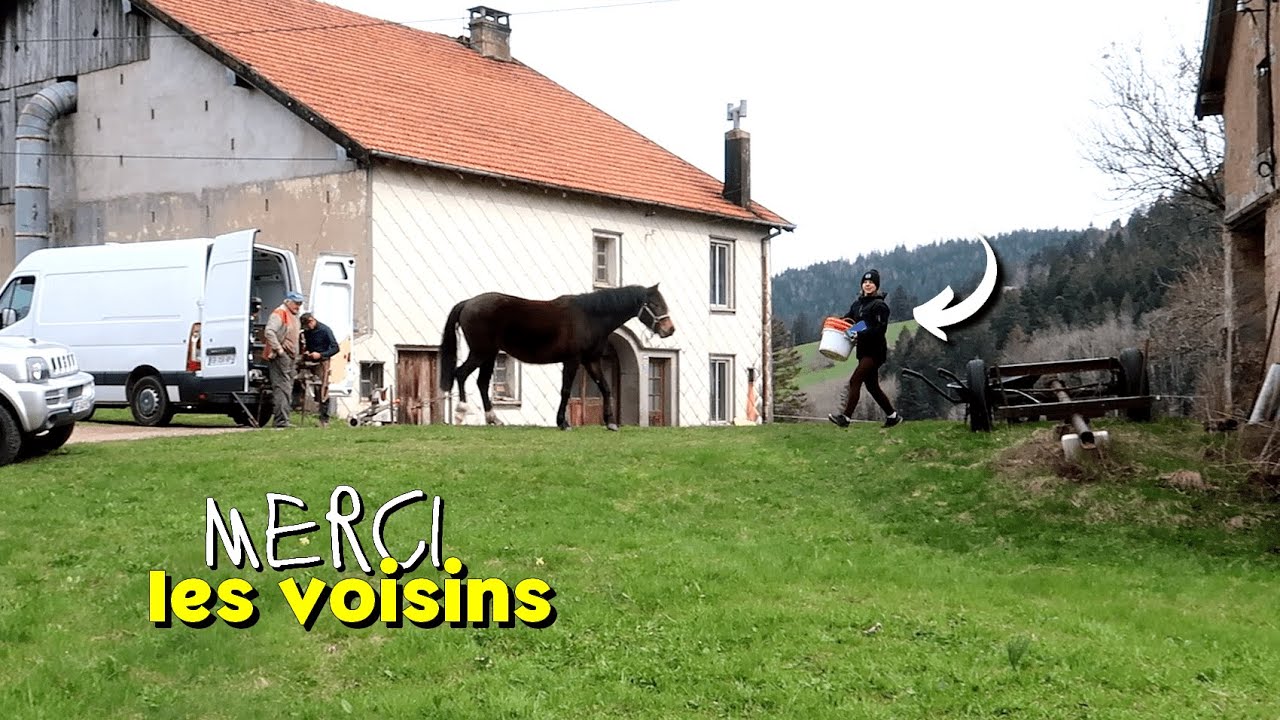 Séance MARÉCHAL et ARRIVÉE du bâtiment ... chez le VOISIN 😅