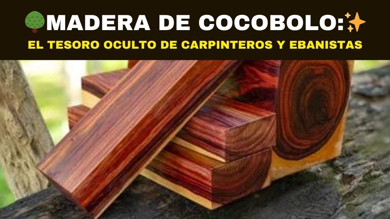 🌳MADERA DE COCOBOLO: El Tesoro Oculto de  Carpinteros y Ebanistas✨