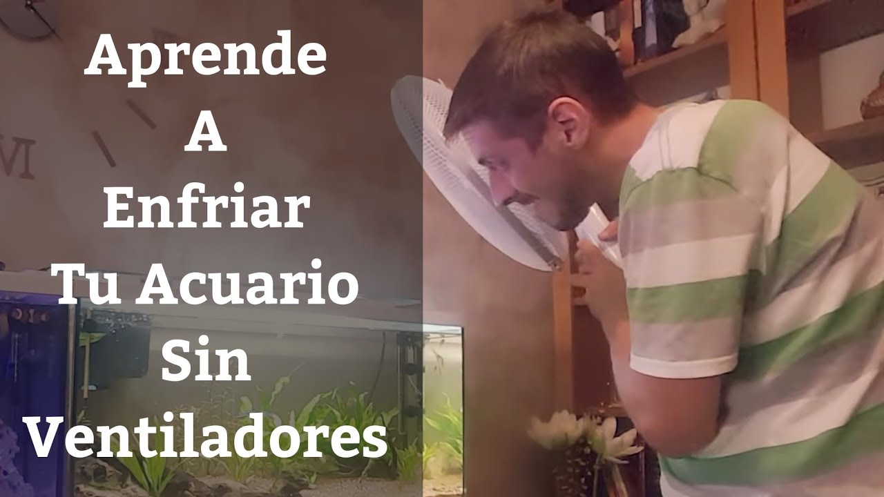 🔵 Como Enfriar El  Acuario Sin Ventiladores (Acuarios MB)