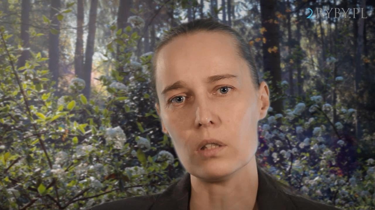 Płeć fizyczna i płeć mózgu | dr Emilia Lichtenberg-Kokoszka