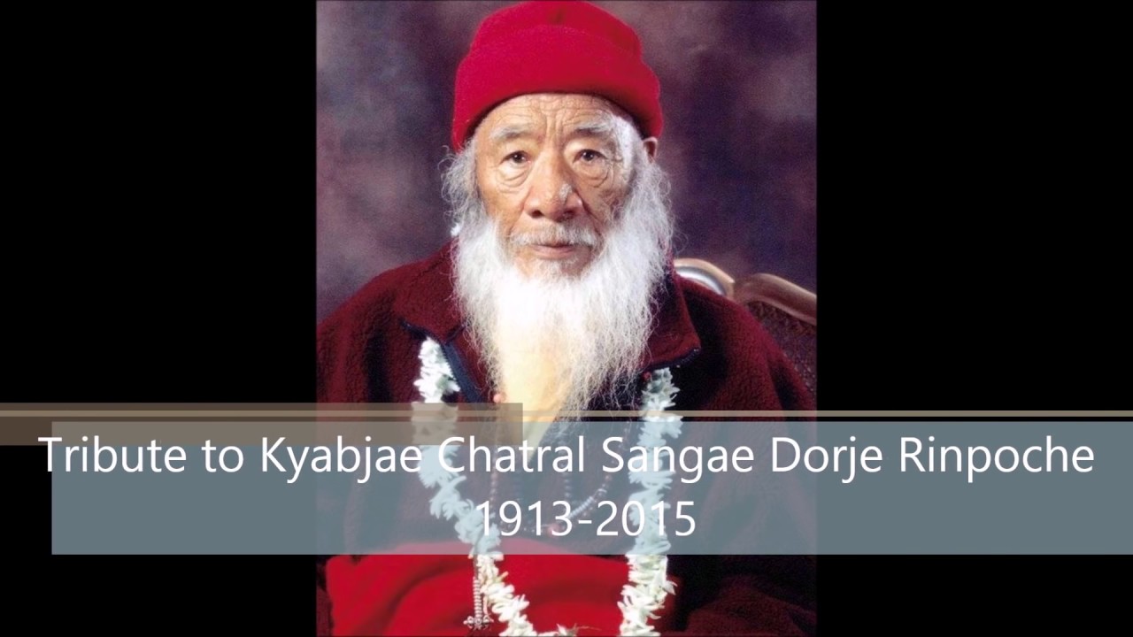 A Tribute to 