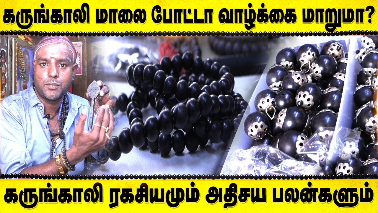 Periods Time ல கருங்காலி மாலை Use பண்ணலாமா?கருங்காலியின் உண்மைகள்| KARUNGALI | BENIFITS OF KARUNGALI