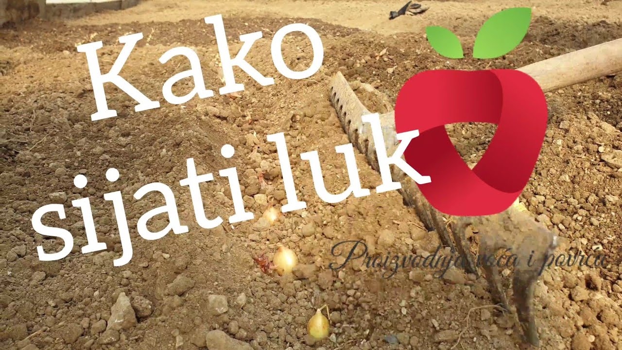 Tri načina za sijanje luka
