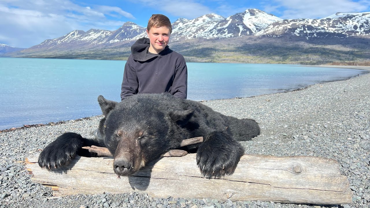 Alaskan Baited Black Bear Hunt :Full Adventure