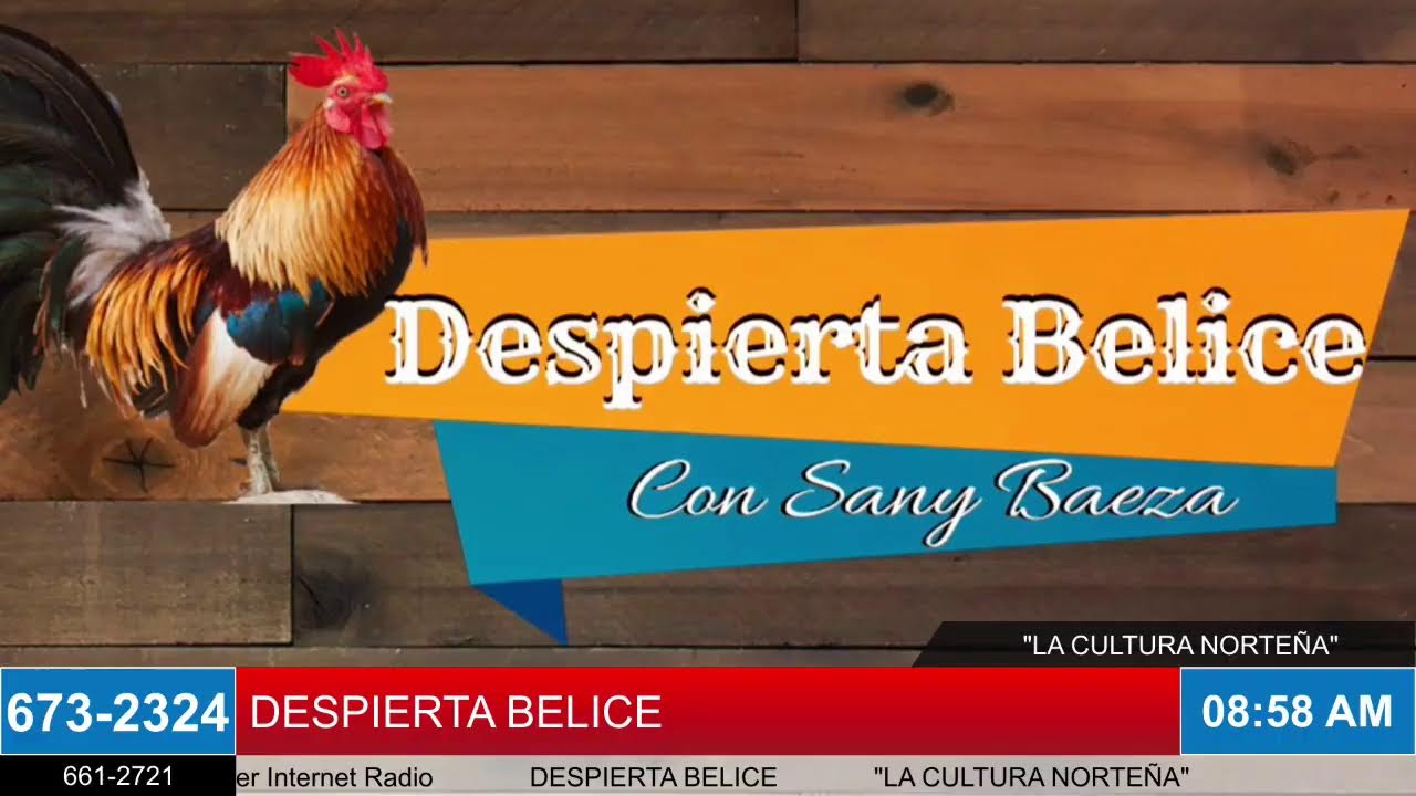 POWER HITS BELIZE TV
