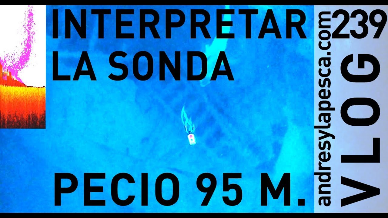 APRENDE A INTERPRETAR LA SONDA PARA PESCA 