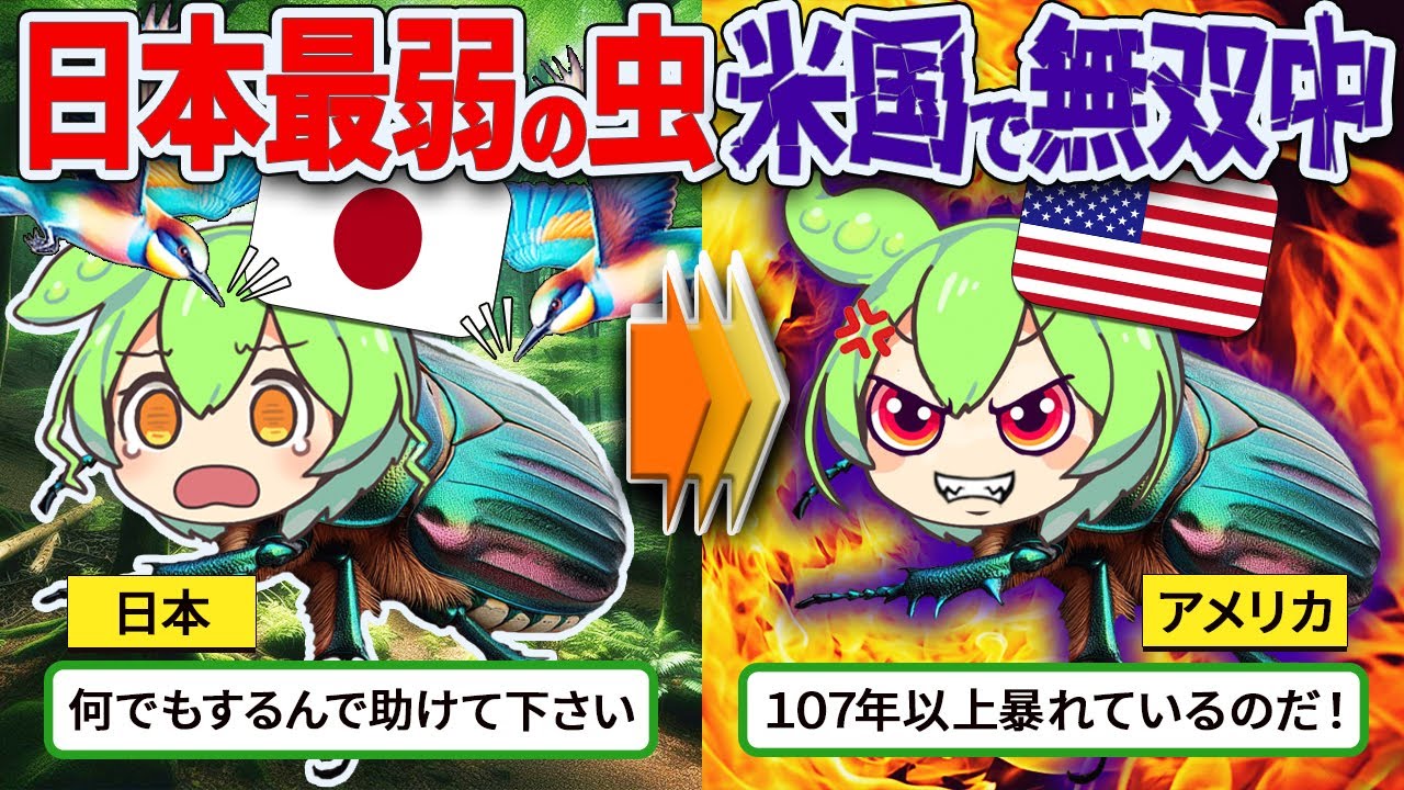 日本では最弱なのに海外でヒアリ以上に恐れられている「ジャパニーズ・ビートル」が猛威を振るう【ずんだもん ゆっくり解説】