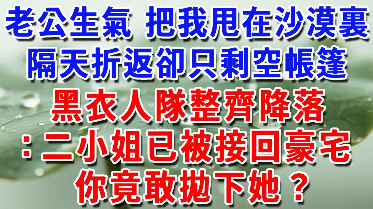 老公生氣 把我甩在沙漠，隔天折返卻只剩空帳篷，黑衣人隊整齊降落：二小姐已被接回豪宅你竟敢拋下，她？#一帆說故事 #為人處世 #生活經驗 #情感 #故事 #彩礼
