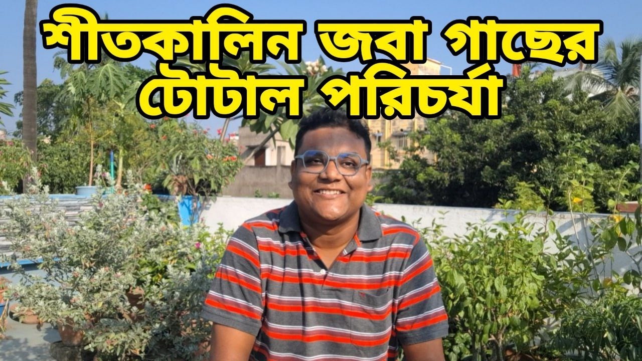 Спасти гибискус зимой будет сложно, если не предпринять следующие меры 🌺 | Уход за гибискусом зим...