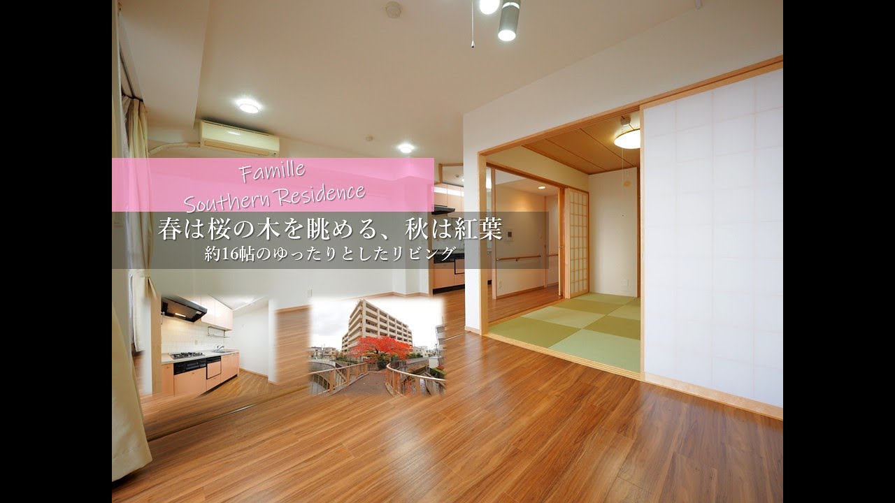 自宅でお花見？！桜の木を眺めるリバーサイドマンション