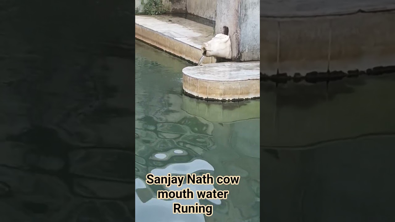 Rajasthan Tourist places Sanjay nath cow mouth countinue water runing All Tome#2025# live video