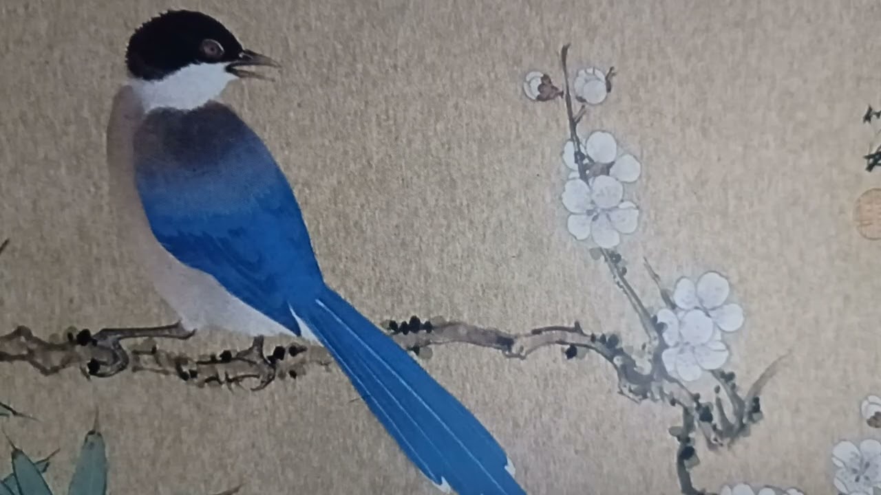 害了了(霸王樂隊演奏)