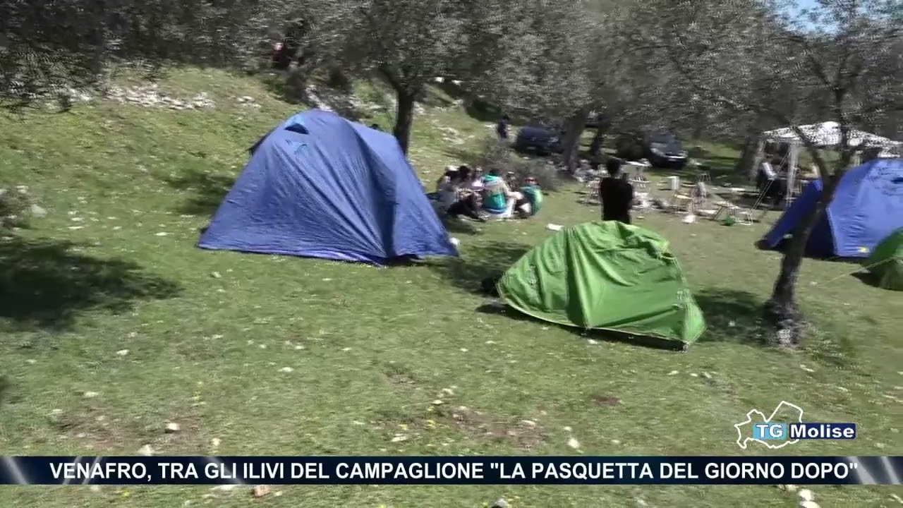 Venafro, tra gli ulivi del Campaglione: 