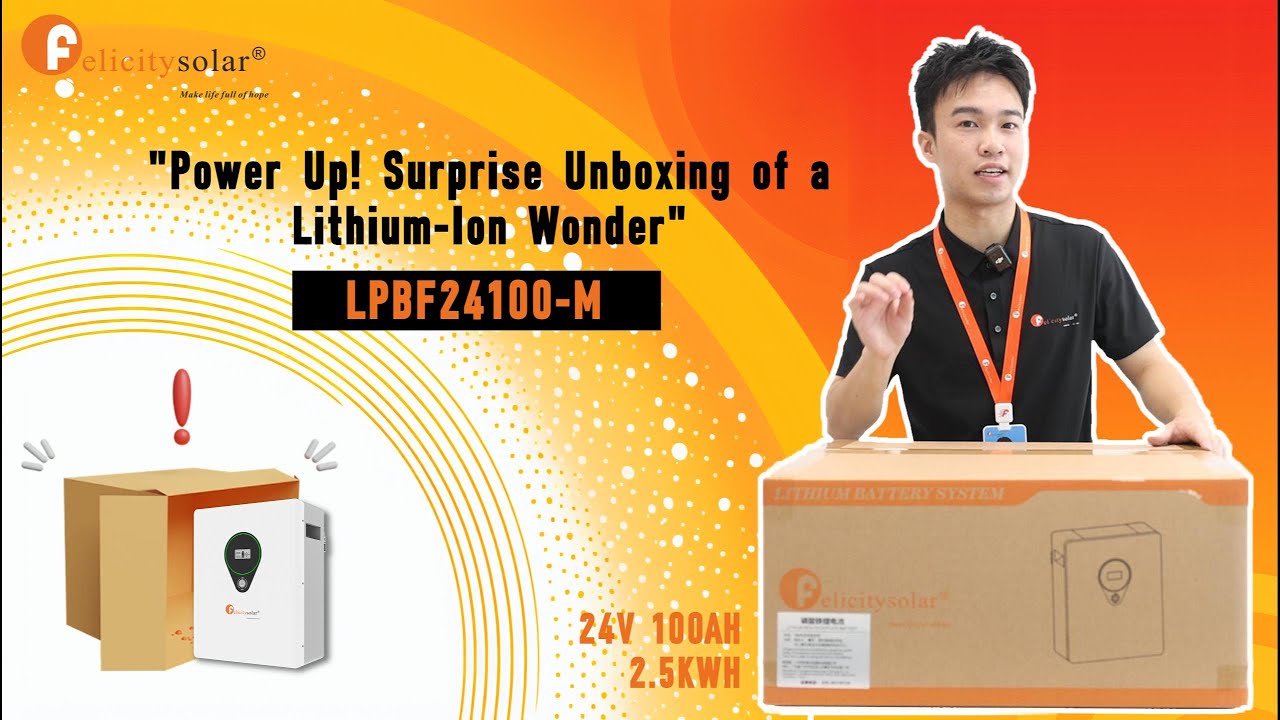 Unboxing Video of One of Our Lithium Battery-- LPBF24100-M
