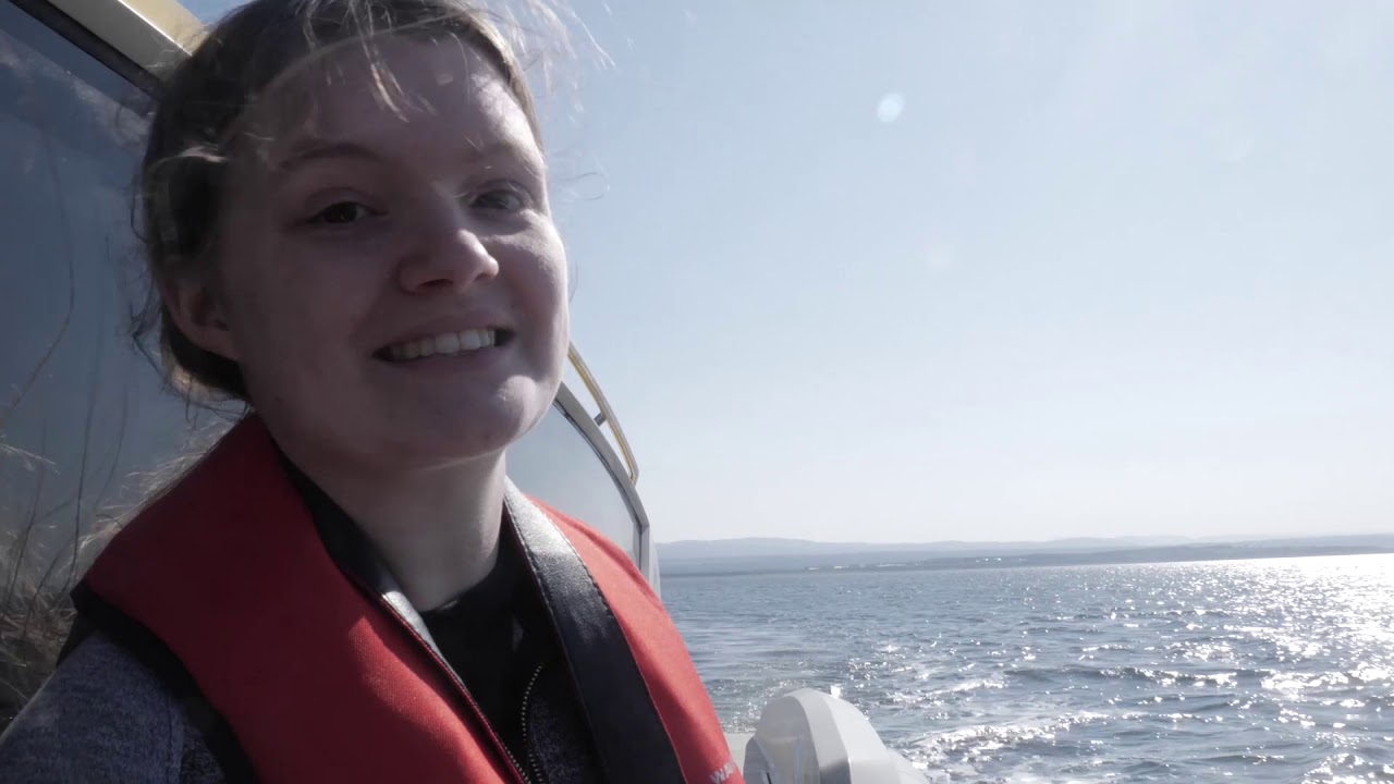 Day 2 - The Moray Firth